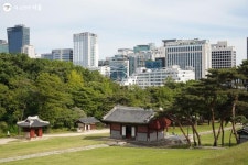 도심 속 힐링포인트, 선릉과 정릉 | 서울시 - 내 손안에 서울 도심 속 힐링포인트, 선릉과 정릉