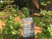 꽃바람 난 서울로7017, 서울국제정원박람회로 연결되다! | 서울시 - 내 손안에 서울