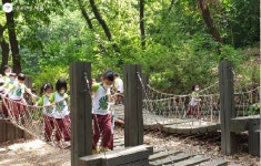 숲, 아이들의 제일 큰 놀이터 | 서울시 - 내 손안에 서울 숲, 아이들의 제일 큰 놀이터