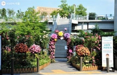 골목골목 꽃잔치 열렸네! 서울국제정원박람회 | 서울시 - 내 손안에 서울 골목골목 꽃잔치 열렸네! 서울국제정원박람회