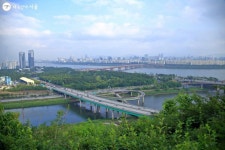 또 하나의 서울 장미 명소, 대현산 장미원! | 서울시 - 내 손안에 서울 또 하나의 서울 장미 명소, 대현산 장미원!