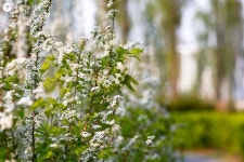 서울의 시간이 깃든 경춘선 숲길을 걸어요! | 서울시 - 내 손안에 서울