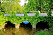 평화의 공원 숨은 정원 찾기! | 서울시 - 내 손안에 서울