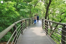 남산예장공원 개장으로 마침표를 찍은 남산 르네상스! | 서울시 - 내 손안에 서울 남산예장공원 개장으로 마침표를 찍은 남산 르네상스!