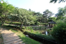 봉제산 둘레길 걸으며 힐링! 온라인서울트레킹 참여했어요 | 서울시 - 내 손안에 서울 봉제산 둘레길 걸으며 힐링! 온라인서울트레킹 참여했어요