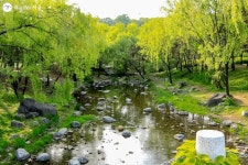 평화의 공원 숨은 정원 찾기! | 서울시 - 내 손안에 서울