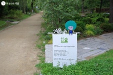 6월은 수국수국, 서울숲으로 오세요! | 서울시 - 내 손안에 서울