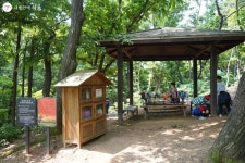 도심 속 자연을 만나다 봉제산 둘레길 | 서울시 - 내 손안에 서울