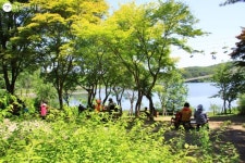 30여 년 만에 속살을 드러낸 ‘비밀의 숲’ | 서울시 - 내 손안에 서울 30여 년 만에 속살을 드러낸 ‘비밀의 숲’