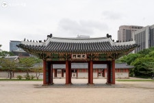 느리게 걷기! 덕수궁 돌담길 따라 고종의 길까지 | 서울시 - 내 손안에 서울