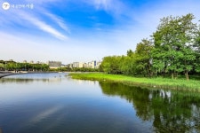 평화의 공원 숨은 정원 찾기! | 서울시 - 내 손안에 서울