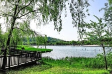 평화의 공원 숨은 정원 찾기! | 서울시 - 내 손안에 서울