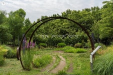 숲속 향기 랜선 타고 솔솔~월드컵공원 숲생태투어 | 서울시 - 내 손안에 서울