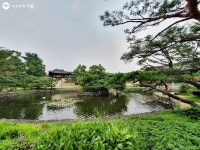 전통 사이를 거닐다, 남산골 한옥마을 | 서울시 - 내 손안에 서울 전통 사이를 거닐다, 남산골 한옥마을
