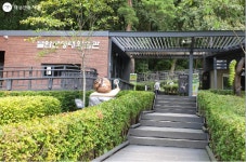 불암산산림치유센터에 가면 힐링이 기다려요~ | 서울시 - 내 손안에 서울