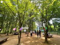 재미가 꿈틀~ 계남공원 숲체험하고 꽃잎부채도 만들어요! | 서울시 - 내 손안에 서울 재미가 꿈틀~ 계남공원 숲체험하고 꽃잎부채도 만들어요!