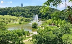 도심 속 녹색 숨터이자 쉼터…북서울꿈의숲 매력 속으로 | 서울시 - 내 손안에 서울 도심 속 녹색 숨터이자 쉼터…북서울꿈의숲 매력 속으로