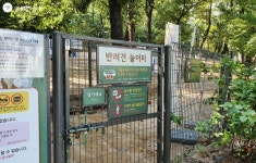 댕댕이와 함께 걷고 싶어라~ 어린이대공원 일대 펫 스트리트 | 서울시 - 내 손안에 서울 댕댕이와 함께 걷고 싶어라~ 어린이대공원 일대 펫... 