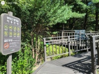 휠체어, 유아차도 가뿐하게! 봉화산 동행길 | 서울시 - 내 손안에 서울 휠체어, 유아차도 가뿐하게! 봉화산 동행길