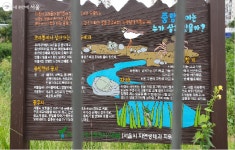 중랑천에서 방탈출게임을? 비대면 생태체험 추천 | 서울시 - 내 손안에 서울