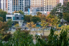 가을볕이 내린 단풍길! 중랑캠핑숲과 서울둘레길 걸어요 | 서울시 - 내 손안에 서울 가을볕이 내린 단풍길! 중랑캠핑숲과 서울둘레길 걸어요