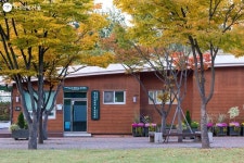 가을볕이 내린 단풍길! 중랑캠핑숲과 서울둘레길 걸어요 | 서울시 - 내 손안에 서울 가을볕이 내린 단풍길! 중랑캠핑숲과 서울둘레길 걸어요