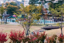 가을볕이 내린 단풍길! 중랑캠핑숲과 서울둘레길 걸어요 | 서울시 - 내 손안에 서울 가을볕이 내린 단풍길! 중랑캠핑숲과 서울둘레길 걸어요