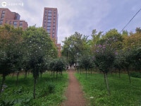 가락시장 사거리, 시장 구경뿐만 아니라 이것도 즐긴다! | 서울시 - 내 손안에 서울 가락시장 사거리, 시장 구경뿐만 아니라 이것도 즐긴다!