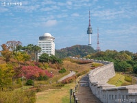 단풍 가장 예쁠 때! 11월 남산둘레길 걸으며 힐링하세요~ | 서울시 - 내 손안에 서울