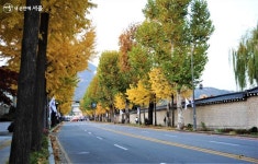 골라 걷는 재미가 있다! 서울 단풍길 96선 | 서울시 - 내 손안에 서울 골라 걷는 재미가 있다! 서울 단풍길 96선
