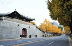 골라 걷는 재미가 있다! 서울 단풍길 96선 | 서울시 - 내 손안에 서울 골라 걷는 재미가 있다! 서울 단풍길 96선