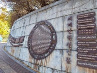 곱게 물든 단풍이 우수수~ 남산 만추 여행, 이 코스로 즐겨봐요! | 서울시 - 내 손안에 서울 곱게 물든 단풍이 우수수~ 남산 만추 여행, 이 코스로... 