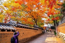 전통과 근대의 만남, 정동길에서 보내는 가을 | 서울시 - 내 손안에 서울 전통과 근대의 만남, 정동길에서 보내는 가을