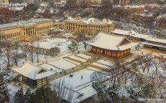행궁에서 근대 대표 궁궐이 되기까지…파란만장 덕수궁 이야기 | 서울시 - 내 손안에 서울