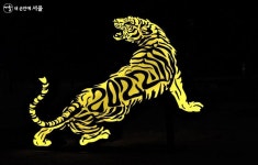 호기로운 새해, 광진구는 온통 빛 거리 | 서울시 - 내 손안에 서울 호기로운 새해, 광진구는 온통 빛 거리