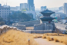 동대문에 두 마리의 용, 혜화문에 봉황이 그려진 이유는? | 서울시 - 내 손안에 서울 동대문에 두 마리의 용, 혜화문에 봉황이 그려진 이유는?