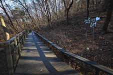 무장애길로 모두가 편하게 산책해요! 아차산 동행숲길 | 서울시 - 내 손안에 서울 무장애길로 모두가 편하게 산책해요! 아차산 동행숲길