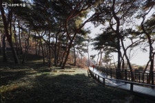 무장애길로 모두가 편하게 산책해요! 아차산 동행숲길 | 서울시 - 내 손안에 서울 무장애길로 모두가 편하게 산책해요! 아차산 동행숲길