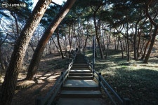 무장애길로 모두가 편하게 산책해요! 아차산 동행숲길 | 서울시 - 내 손안에 서울 무장애길로 모두가 편하게 산책해요! 아차산 동행숲길