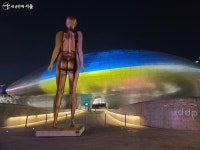 우크라이나를 응원하는 평화의 빛을 쏘아 올리다! | 서울시 - 내 손안에 서울 우크라이나를 응원하는 평화의 빛을 쏘아 올리다!