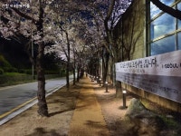 서초구에 녹색길 따라 걷고 싶은 산책로가 생겼다! | 서울시 - 내 손안에 서울 서초구에 녹색길 따라 걷고 싶은 산책로가 생겼다!
