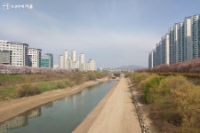 벚꽃비 내린다! 송파둘레길 21km 따라 펼쳐진 벚꽃8경 | 서울시 - 내 손안에 서울