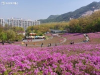 철쭉동산 산책하고 홈가드닝도 배운다, 불암산 힐링타운 | 서울시 - 내 손안에 서울 철쭉동산 산책하고 홈가드닝도 배운다, 불암산 힐링타운