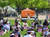 지친 일상에 비타민 같은 곳! 책 읽는 서울광장 | 서울시 - 내 손안에 서울 지친 일상에 비타민 같은 곳! ﻿책 읽는 서울광장