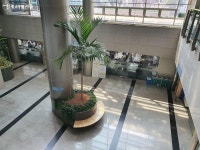 초록초록 실내정원 품은 마포구청으로 봄 마실 가볼까! | 서울시 - 내 손안에 서울 초록초록 실내정원 품은 마포구청으로 봄 마실 가볼까!