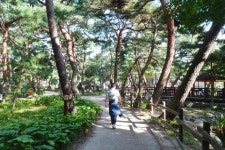 도심 속 울울창창한 숲을 거닐다…우이동 솔밭공원 | 서울시 - 내 손안에 서울 도심 속 울울창창한 숲을 거닐다…우이동 솔밭공원