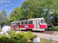 흥겨움이 절로~ 경춘선숲길에서 만난 새로운 예술 경험 < 공지사항(상세) < 새소식 | 서울문화포털......  새소식 > 공지사항(상세) > 흥겨움이 절로... 