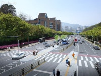 강남대로·송파대로 잇는 헌릉로 중앙버스전용차로 생긴다 | 서울시 - 내 손안에 서울 강남대로·송파대로 잇는 헌릉로 중앙버스전용차로 생긴다