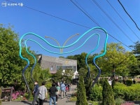 나비야~ 이리 날아 오너라, 불암산나비정원에서 동심으로! < 공지사항... 새소식 > 공지사항(상세) > 나비야~ 이리 날아 오너라, 불암산나비정원... 