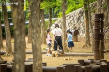 7년의 이음, 신정산 무장애 둘레길 드디어 완성되다! | 서울시 - 내 손안에 서울 7년의 이음, 신정산 무장애 둘레길 드디어 완성되다!